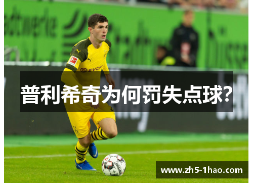 普利希奇为何罚失点球？