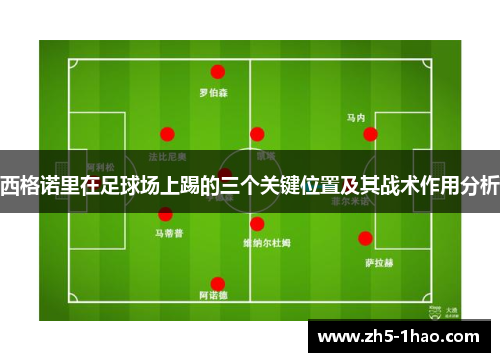 西格诺里在足球场上踢的三个关键位置及其战术作用分析