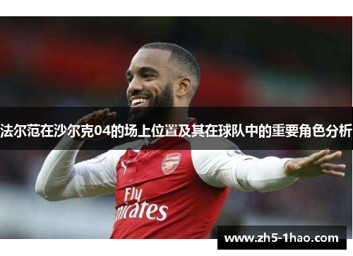 法尔范在沙尔克04的场上位置及其在球队中的重要角色分析 法尔范在沙尔克04的场上位置及其在球队中的重要角色分析