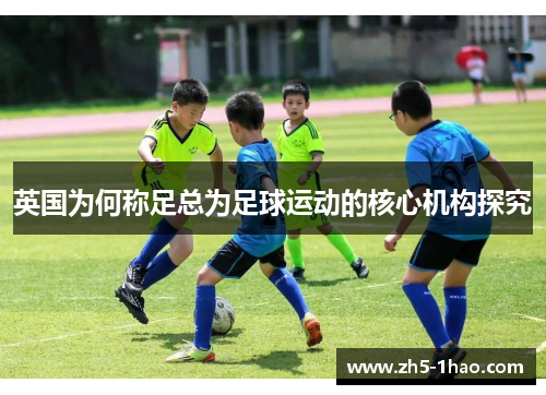 英国为何称足总为足球运动的核心机构探究